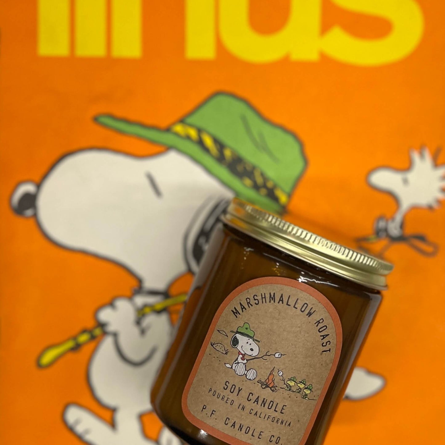 LM Peanuts - Marshmallow Roast - PF Candle Co